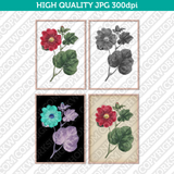 Retro Classic Vintage Printable Wall Art Watercolor Painting Botanical Alcea Rosea Hollyhock Flower Plant