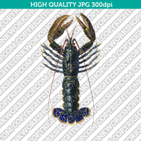 Classic Vintage Printable Wall Art Hand Drawn Painting Animal Crimson Crawfish Digital Download