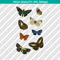 Retro Classic Vintage Printable Wall Art Hand Drawn Watercolor Painting Animal Insect Butterflies