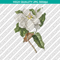 Classic Vintage Printable Wall Art Hand Drawn Painting Botanical Flower Magnolia Plant Digital Download