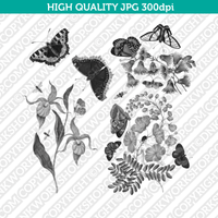 Classic Vintage Printable Wall Art Painting Botanical Nature Bird Plant 