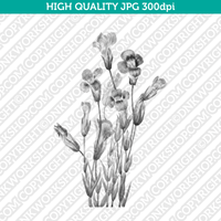 Retro Classic Vintage Printable Wall Art Watercolor Painting Botanical Flower Gentianopsis Fringed Gentian Plant