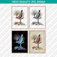 Retro Classic Vintage Printable Wall Art Watercolor Painting Botanical Pine Tree And Bird Plant
