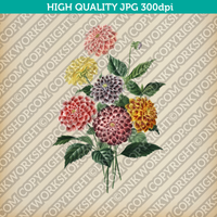 Classic Vintage Printable Wall Art Painting Botanical Dahlia Flower Digital Download