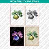 Retro Classic Vintage Printable Wall Art Watercolor Painting Botanical Flower Green Apples With Leaves Plant