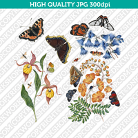 Classic Vintage Printable Wall Art Painting Botanical Nature Bird Plant 