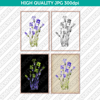Retro Classic Vintage Printable Wall Art Watercolor Painting Botanical Flower Gentianopsis Fringed Gentian Plant