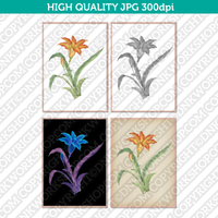 Classic Vintage Printable Wall Art Hand Drawn Watercolor Painting Botanical Tritonia Flower