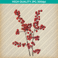 Retro Classic Vintage Printable Wall Art Watercolor Painting Botanical Winterberry Plant