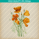 Retro Classic Vintage Printable Wall Art Watercolor Painting Botanical Flower California Poppies Golden Poppy California Sunlight Plant