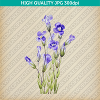 Retro Classic Vintage Printable Wall Art Watercolor Painting Botanical Flower Gentianopsis Fringed Gentian Plant
