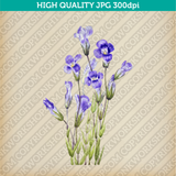 Retro Classic Vintage Printable Wall Art Watercolor Painting Botanical Flower Gentianopsis Fringed Gentian Plant