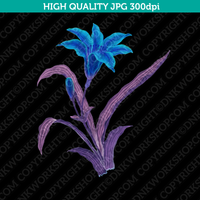 Classic Vintage Printable Wall Art Hand Drawn Watercolor Painting Botanical Tritonia Flower