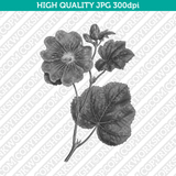 Retro Classic Vintage Printable Wall Art Watercolor Painting Botanical Alcea Rosea Hollyhock Flower Plant