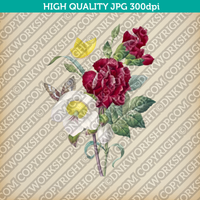 Classic Vintage Printable Wall Art Hand Drawn Painting Botanical Flower Hellebore and Oeillet Plant Digital Download