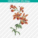 Retro Classic Vintage Retro Printable Wall Art Watercolor Painting Botanical Flower Orange Lily Plant