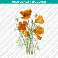 Retro Classic Vintage Printable Wall Art Watercolor Painting Botanical Flower California Poppies Golden Poppy California Sunlight Plant