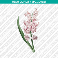 Retro Classic Vintage Printable Art Watercolor Painting Botanical Flower Pink Hyacinth Plant