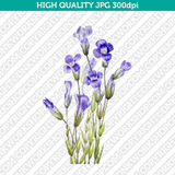 Retro Classic Vintage Printable Wall Art Watercolor Painting Botanical Flower Gentianopsis Fringed Gentian Plant