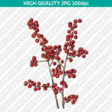 Retro Classic Vintage Printable Wall Art Watercolor Painting Botanical Winterberry Plant